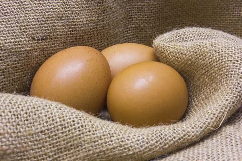 Eggs Photos
