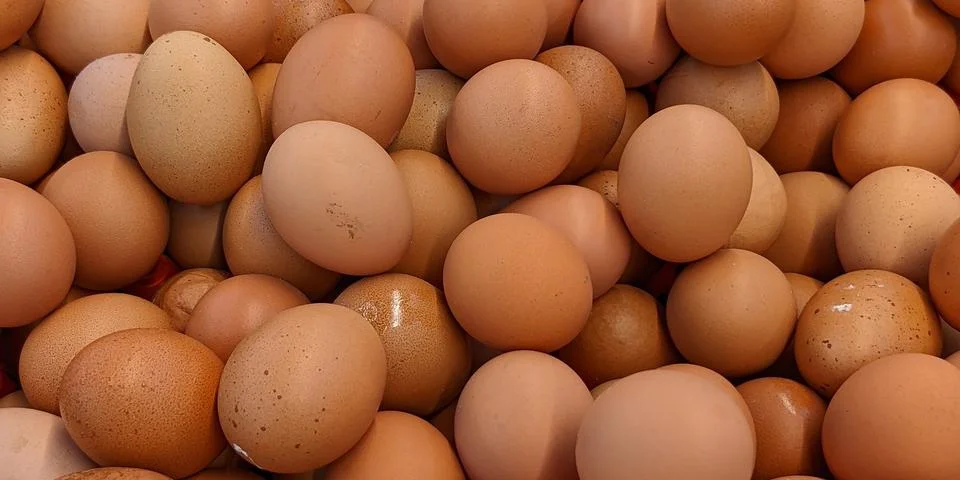 Eggs Stock Photos