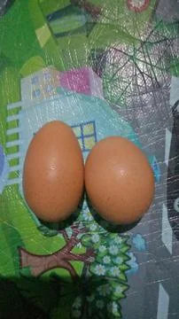 Eggs 스톡 사진