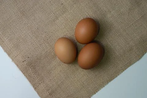 Eggs Stock Photos