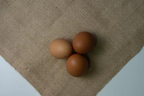 Eggs Stock Photos