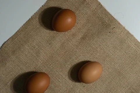 Eggs Stock Photos
