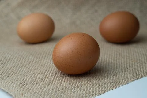 Eggs Stock Photos