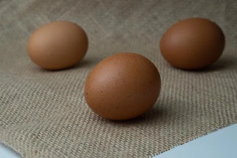 Eggs Stock Photos