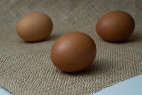 Eggs Stock Photos