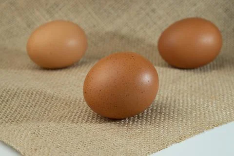 Eggs Stock Photos