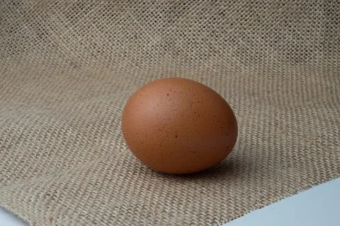 Eggs Stock Photos