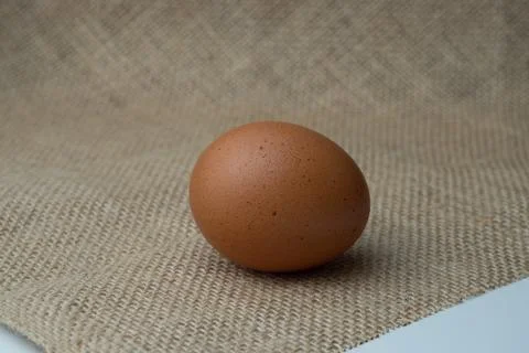 Eggs Stock Photos