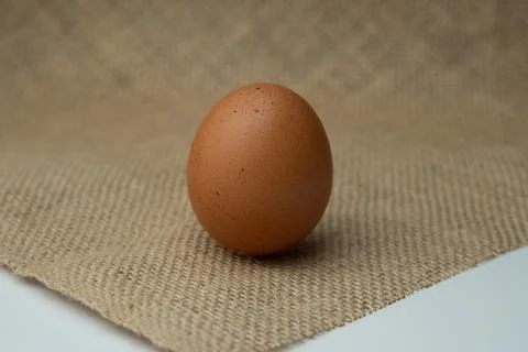 Eggs Stock Photos