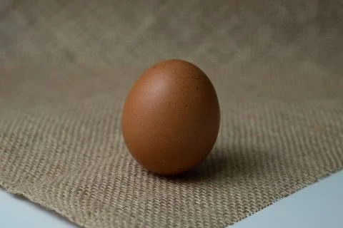 Eggs Stock Photos