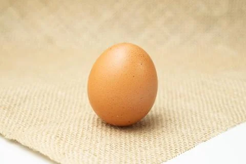 Eggs Stock Photos