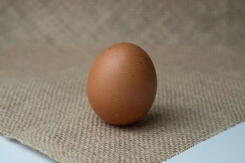 Eggs Stock Photos