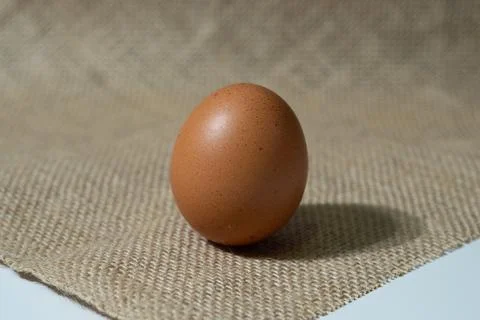 Eggs Stock Photos
