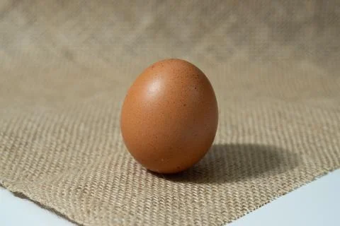 Eggs Stock Photos