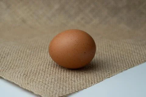 Eggs Stock Photos