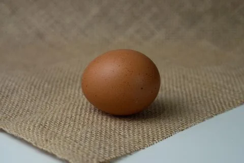 Eggs Stock Photos