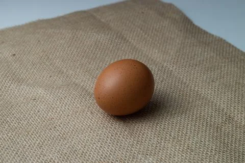 Eggs Stock Photos