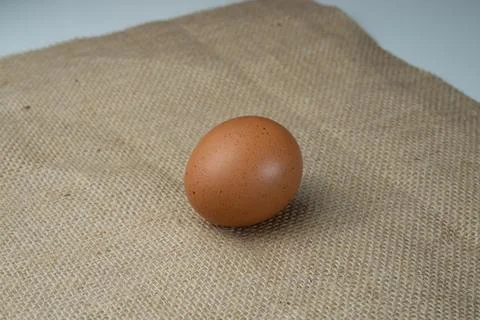 Eggs Stock Photos