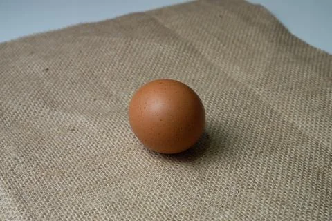Eggs Stock Photos