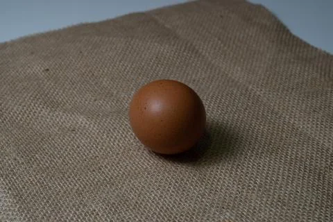 Eggs Stock Photos