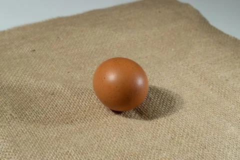 Eggs Stock Photos