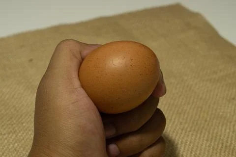 Eggs Stock Photos