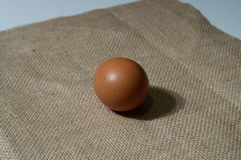 Eggs Stock Photos
