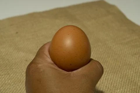 Eggs Stock Photos