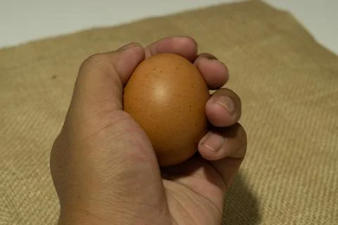 Eggs Stock Photos