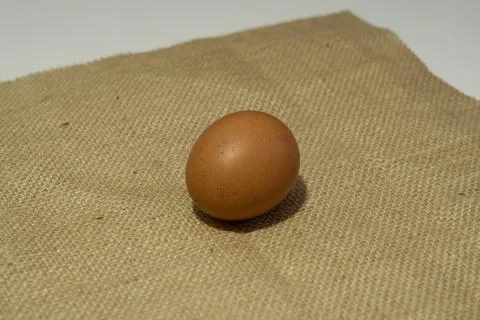 Eggs Stock Photos