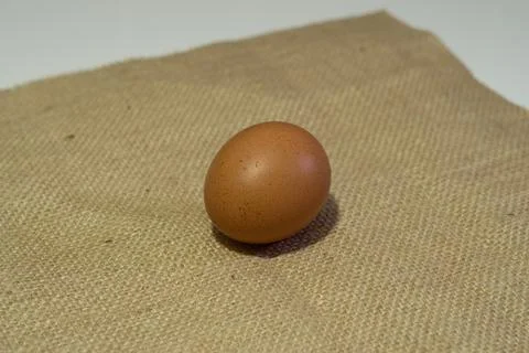 Eggs Stock Photos