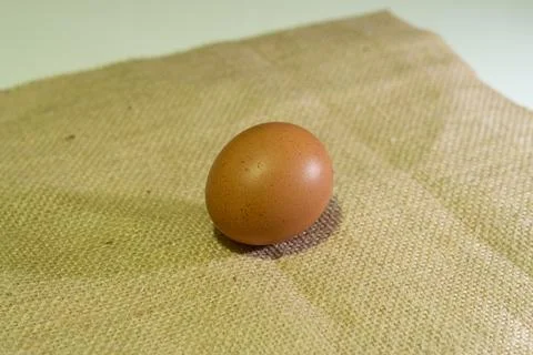 Eggs Stock Photos