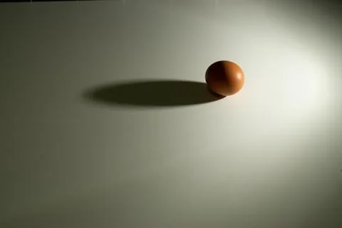 Eggs Stock Photos
