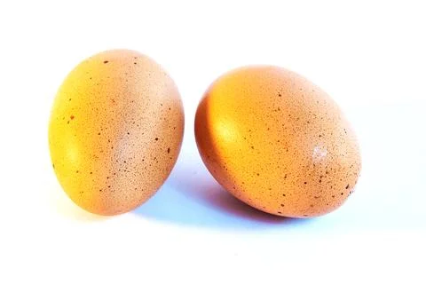 Eggs Stock Photos