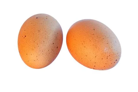 Eggs Stock Photos