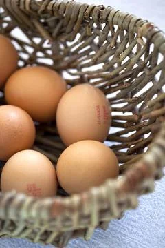 Eggs Stock Photos