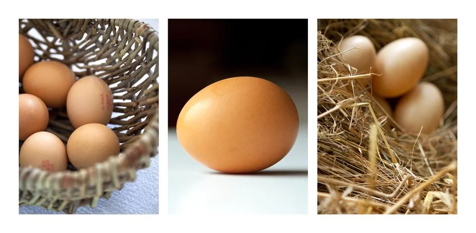 Eggs Stock Photos