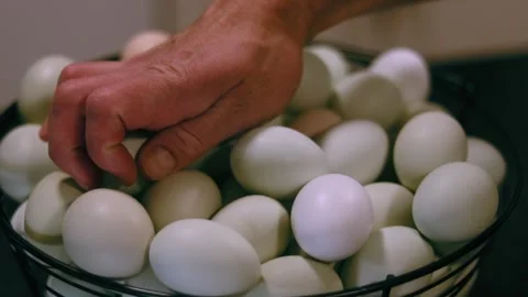 Eggs Placed in Basket Video stock 270441784