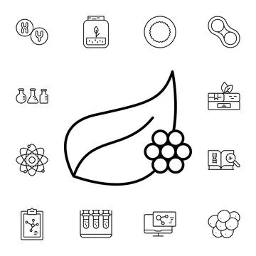 Eggs, plant flat vector icon in biology pack Stock Illustration