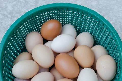Eggs in Plastic Basket Stock Photos