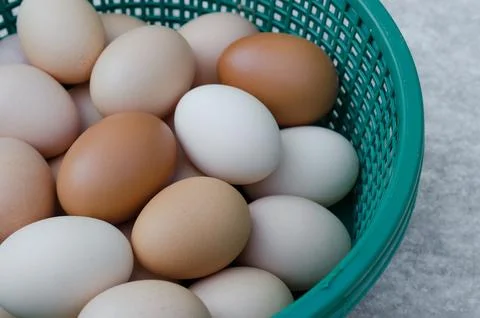 Eggs in Plastic Basket Stock Photos