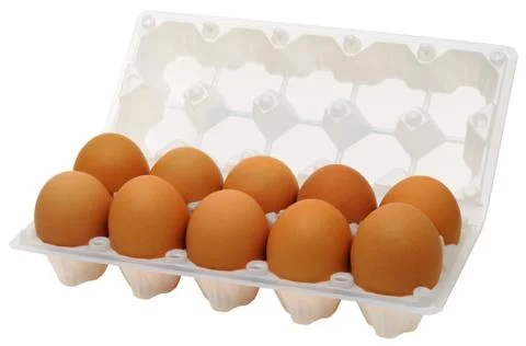 Eggs in plastic box Stock-Fotos