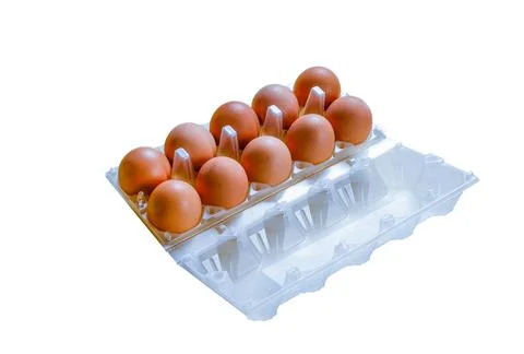 Eggs in a plastic container. Stock Photos