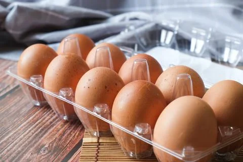 Eggs in plastic egg carton Stock Photos