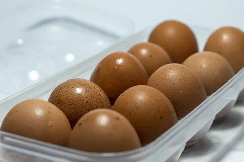 Eggs in a plastic formwork Stock Photos
