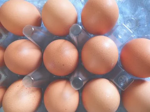 Eggs on a plastic tray Stock Photos