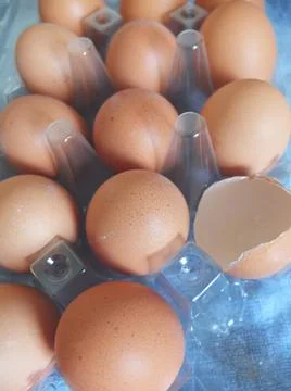 Eggs on a plastic tray Stock Photos