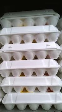 Eggs in plastic white eco packaging on supermarket shelf. Price regulation Stock Photos