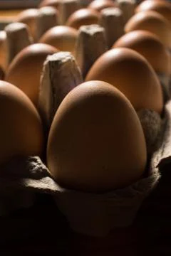 Eggs poultry concept. Foto stock