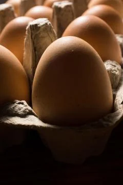 Eggs poultry concept. Stock Photos